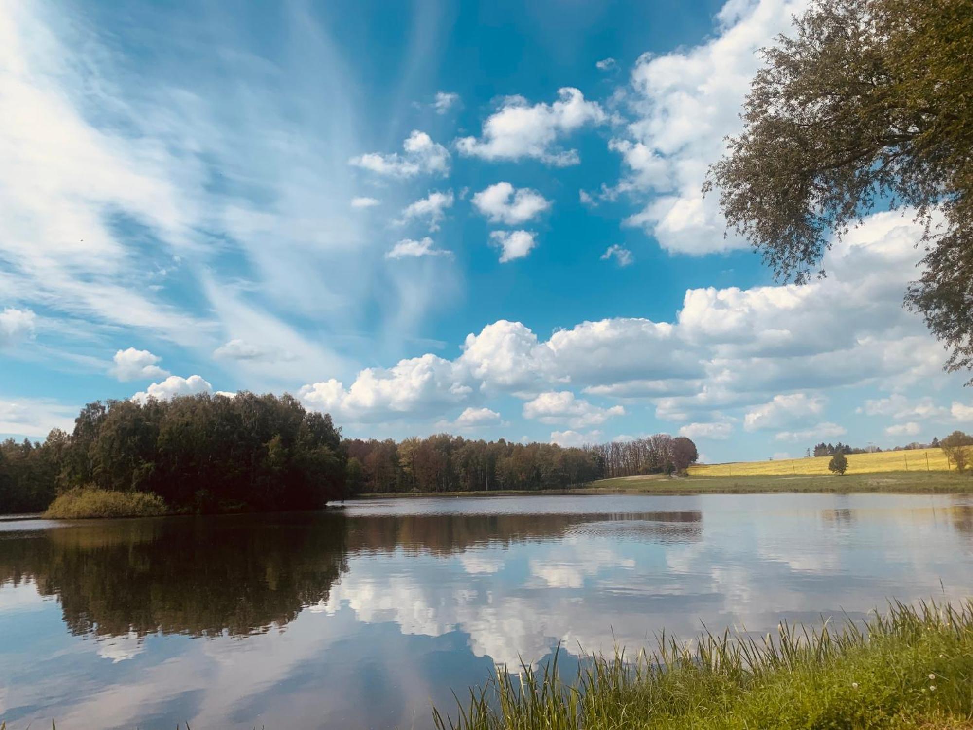 Gemuetliche Ferienwohnung In Idyllischer Lage-Auf Dem Land Dittersdorf ภายนอก รูปภาพ